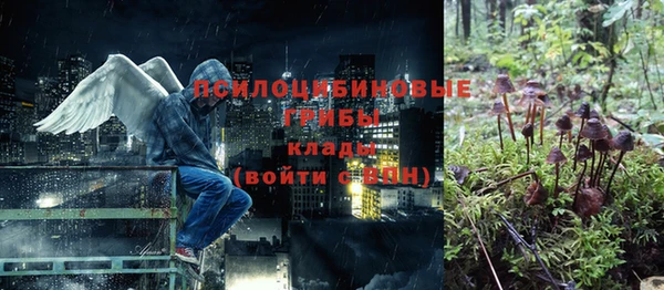дурь Абдулино