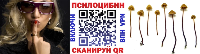 где купить наркотик  Анапа  Псилоцибиновые грибы MAGIC MUSHROOMS 